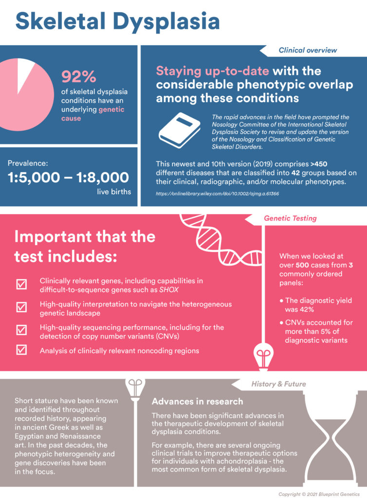Skeletal dysplasia infographic